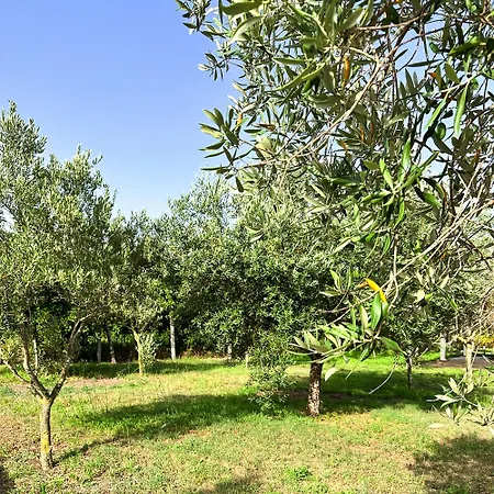 Apartament Tenuta Nunziata - Food, Event, Biofarm Torre Annunziata